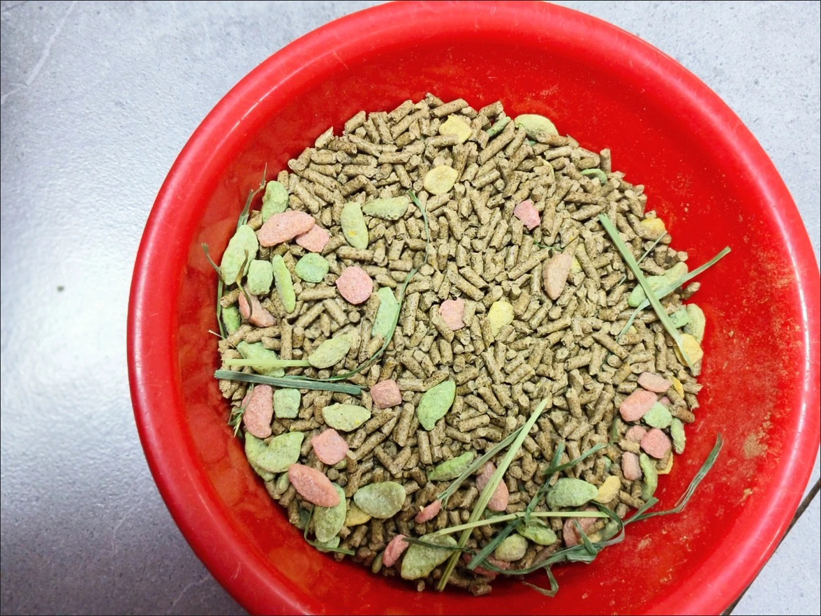 用户发起投诉
