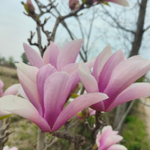 用户发起投诉