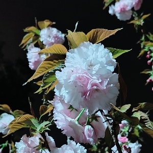 用户补充投诉