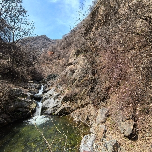 用户发起投诉