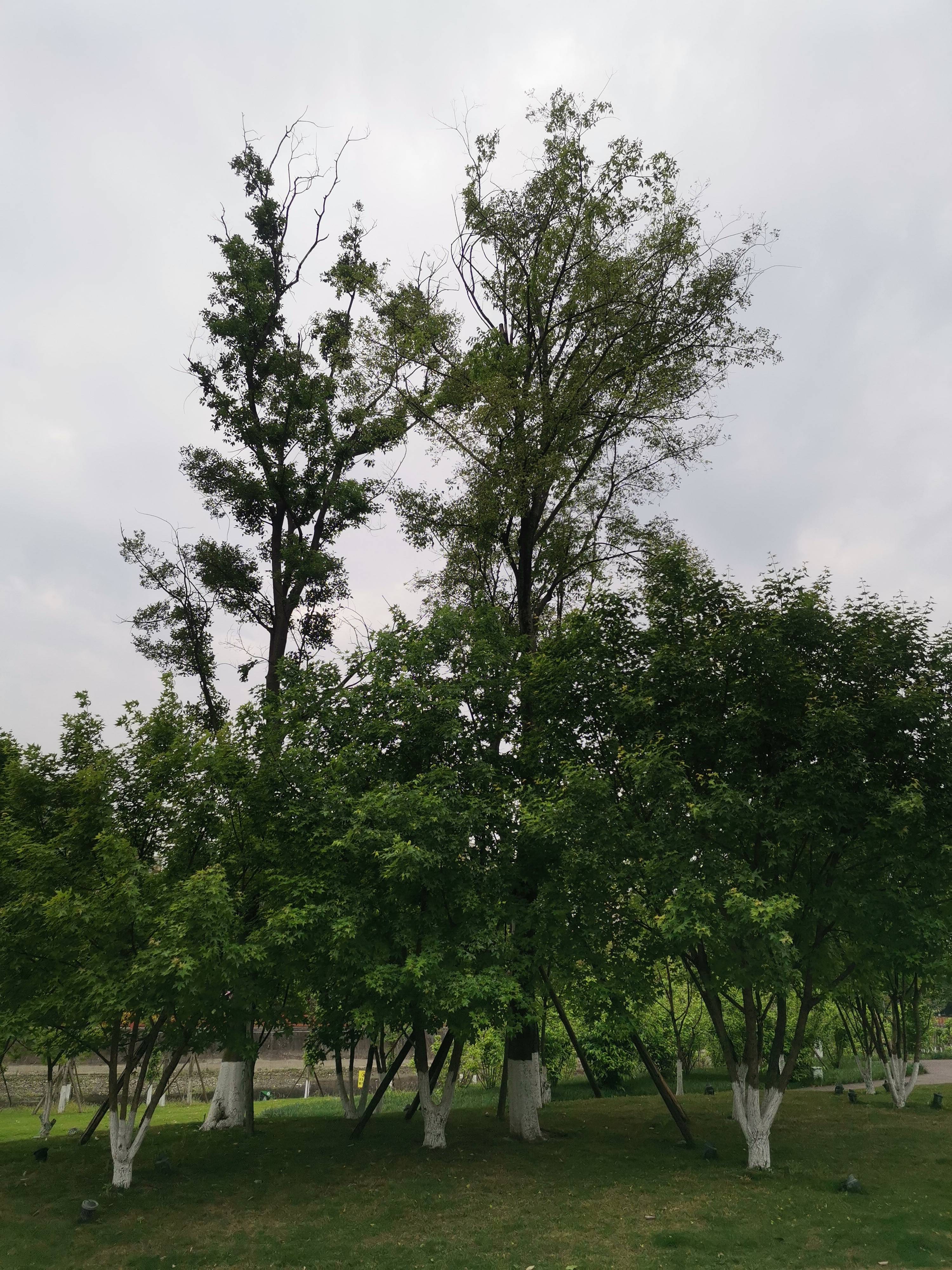 用户发起投诉