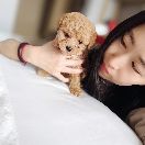 用户评价