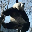 用户发起投诉