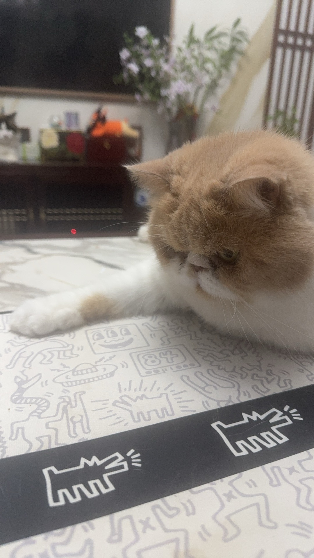 用户发起投诉