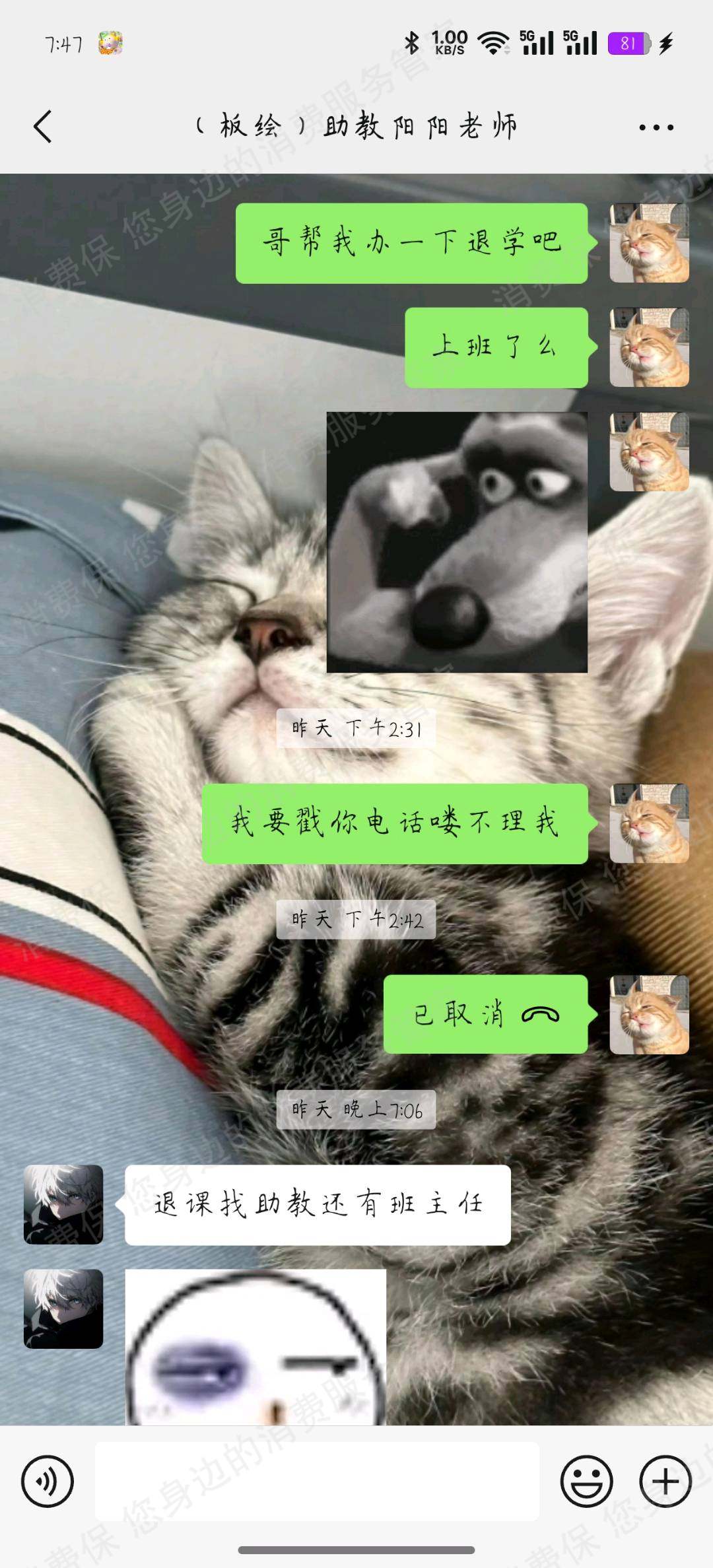 四川星斐教育咨询有限公司课程质量差