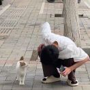 用户发起投诉