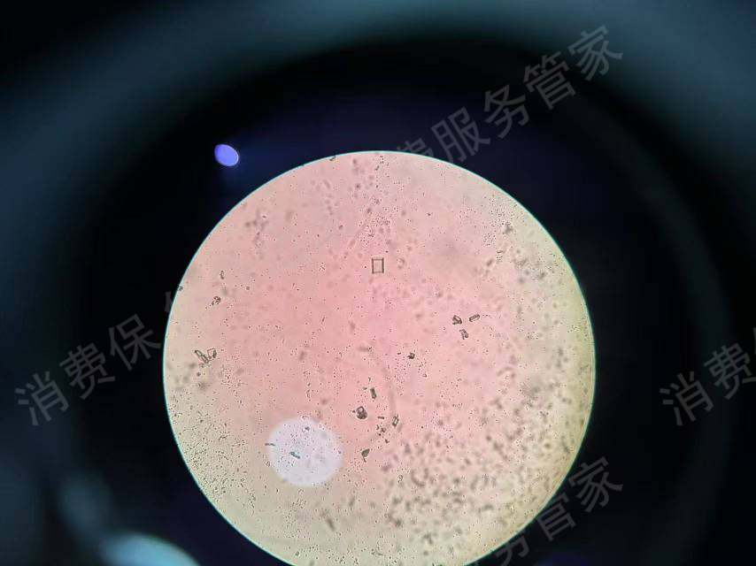 拼多多产品质量缺陷