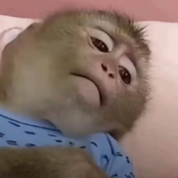 用户发起投诉