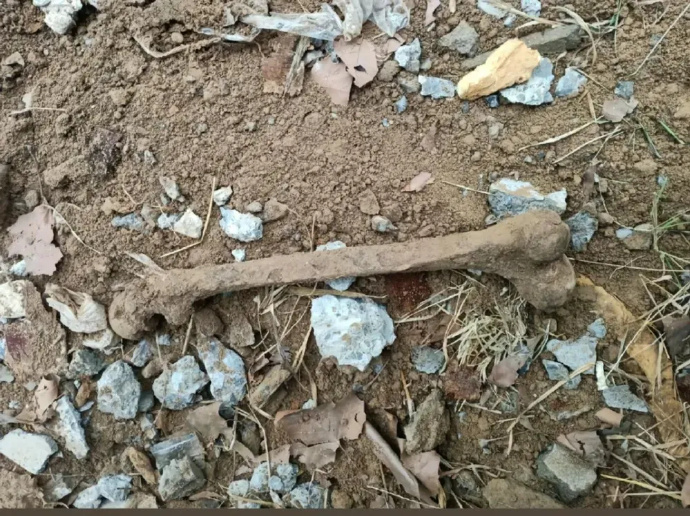 购房纠纷