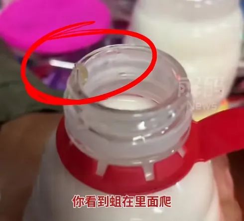 太恶心！知名品牌被曝有活蛆，厂家现场验也中招！网友：上周才喝……