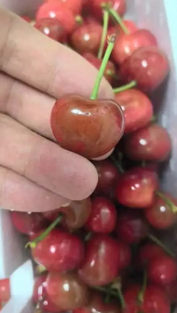 生鲜电商
