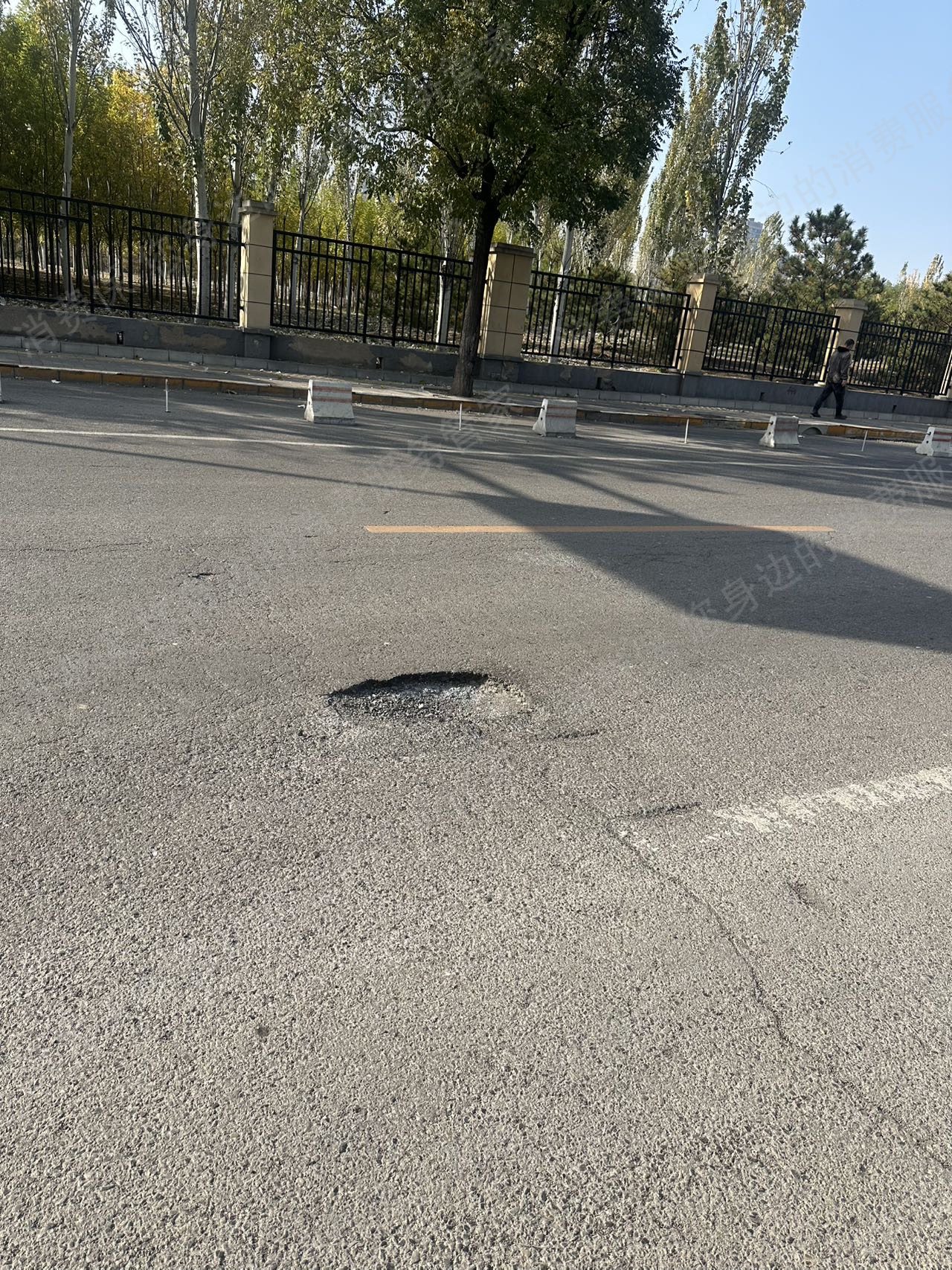 小牛电动车电机