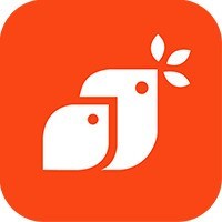 喜播教育-上海纽泰仑教育