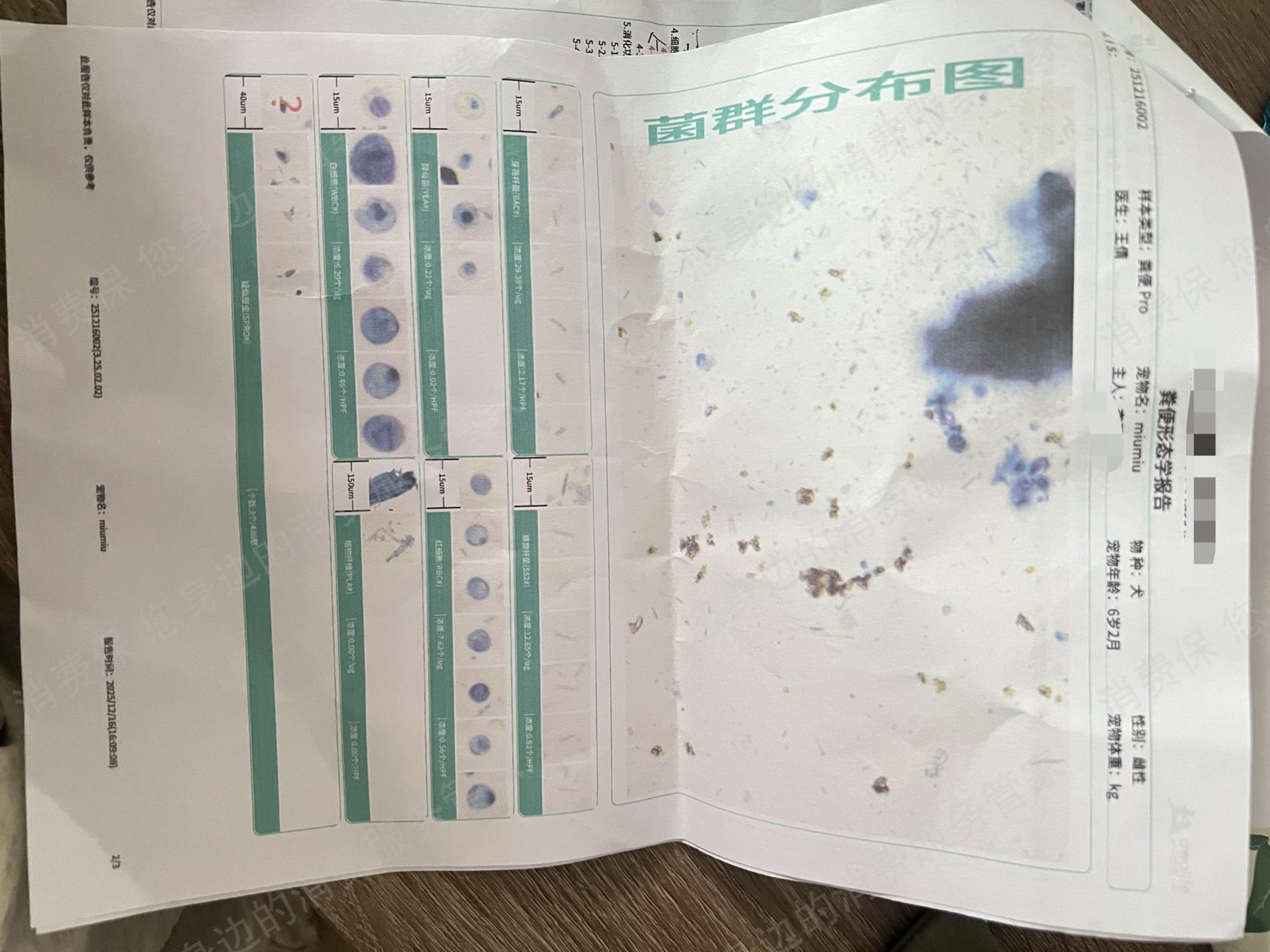 淘宝网态度差/不处理