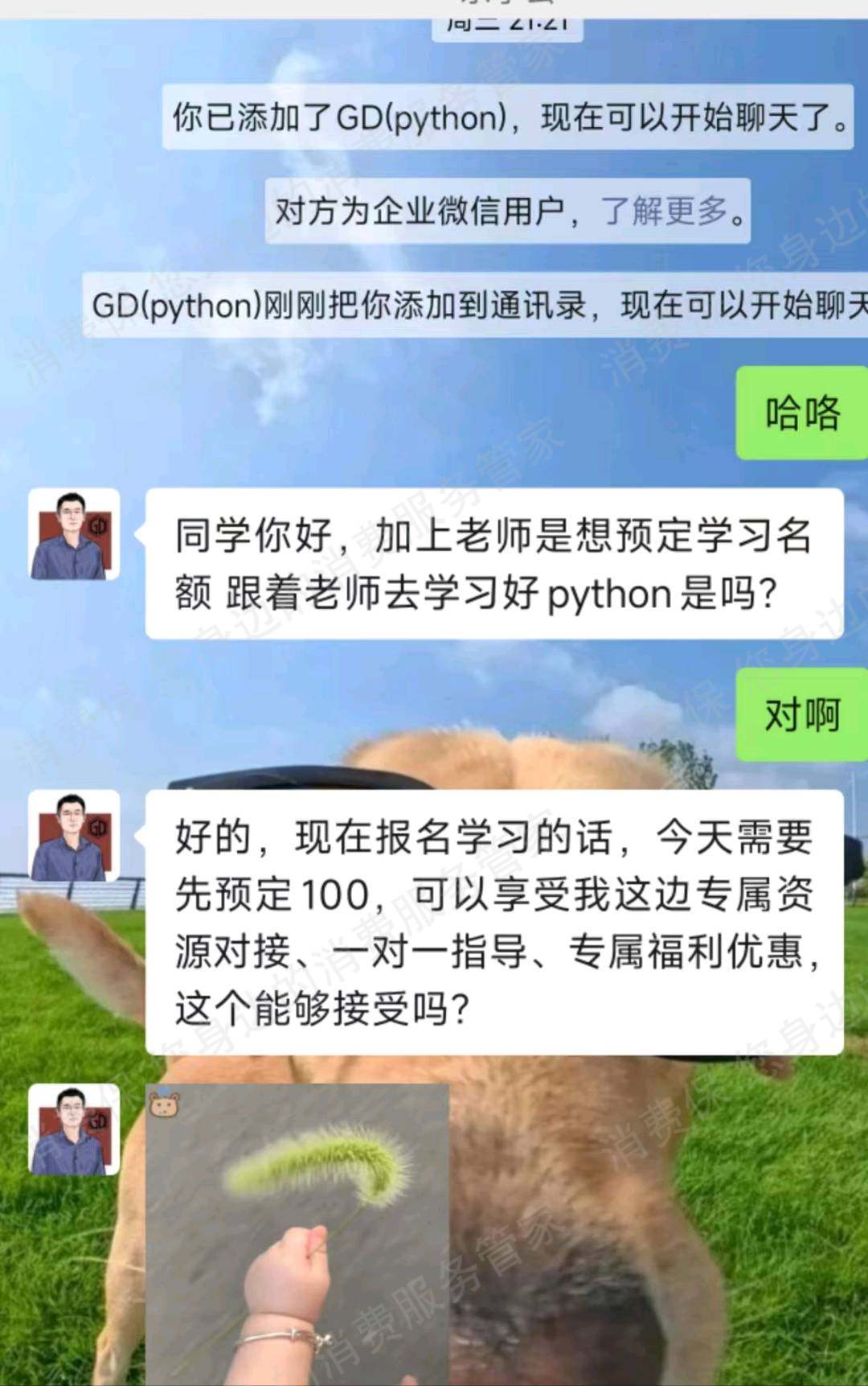 澄迈好学云编程诱导消费