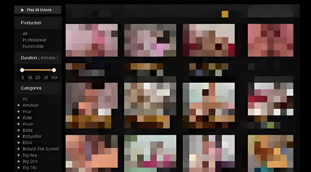 12人因犯传播淫秽物品罪均被依法判处缓刑