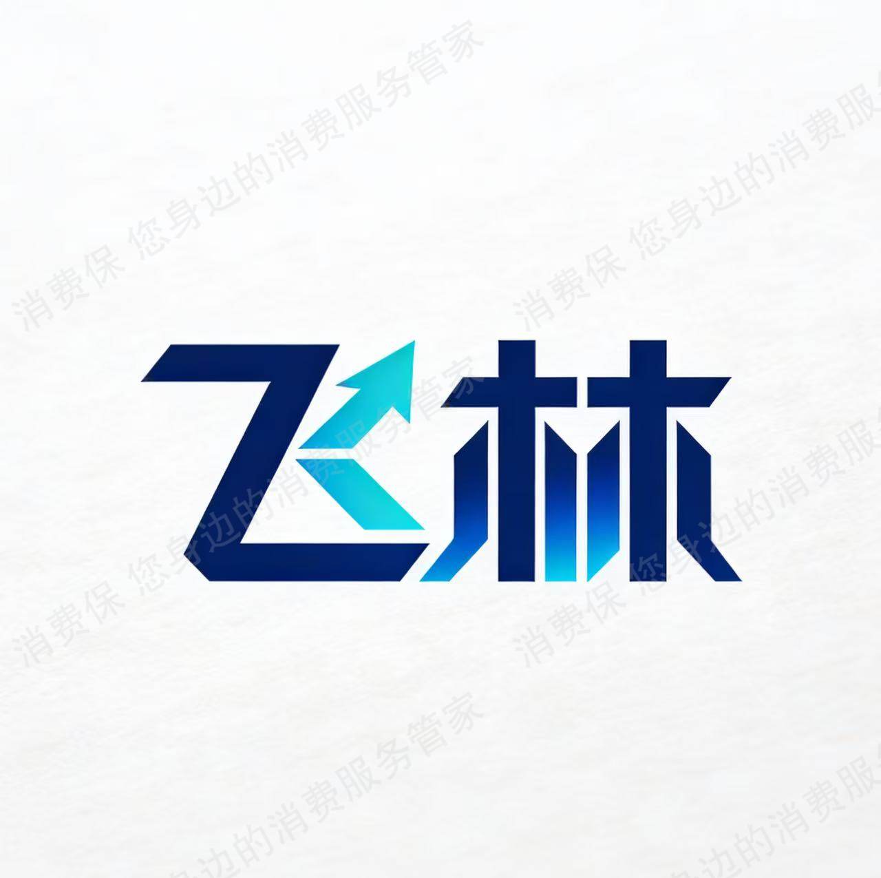 上海飞林网络科技