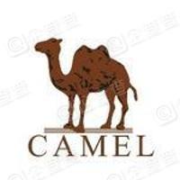 Camel骆驼户外（抖音）