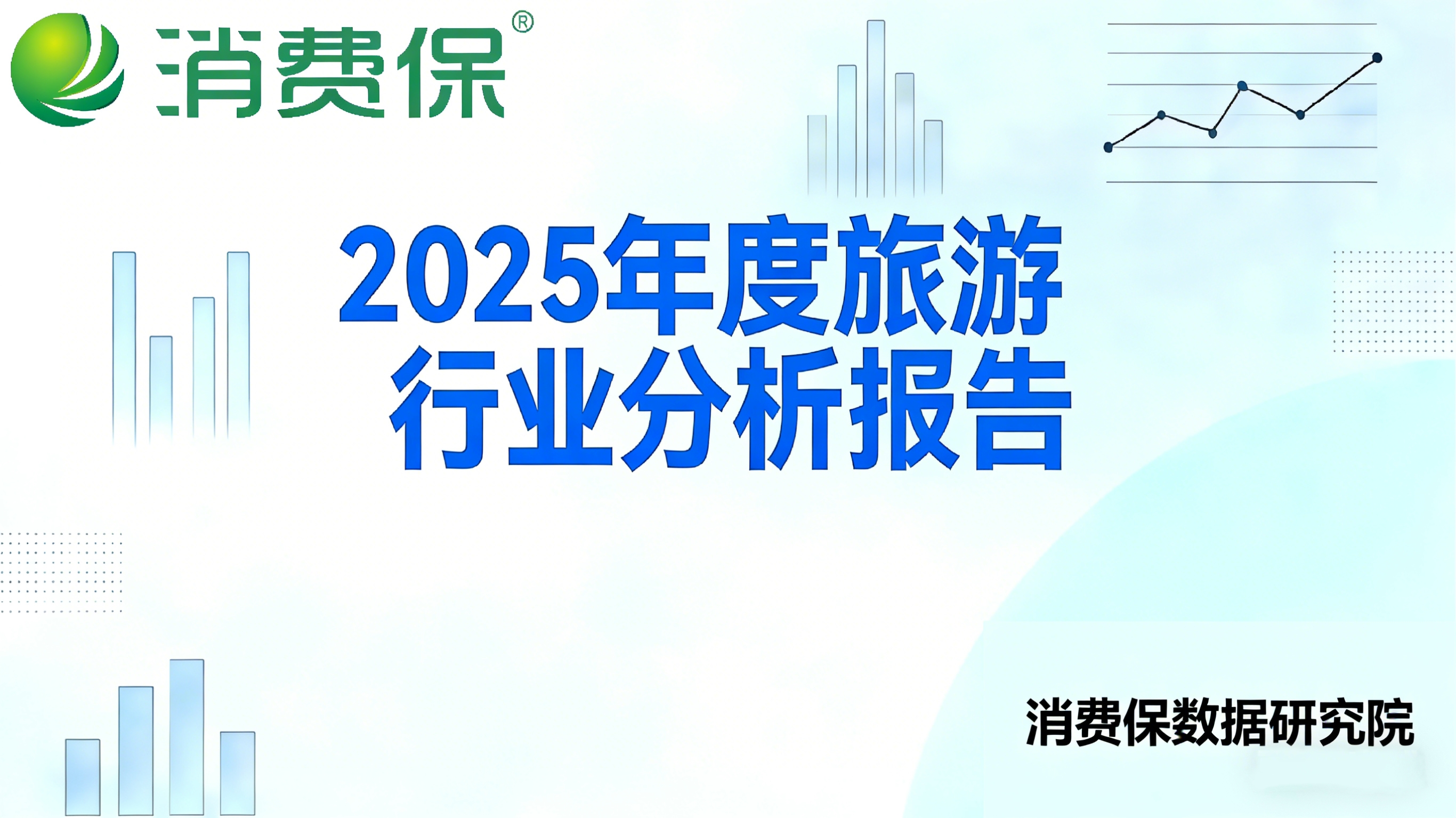 2025年度旅游行业分析报告