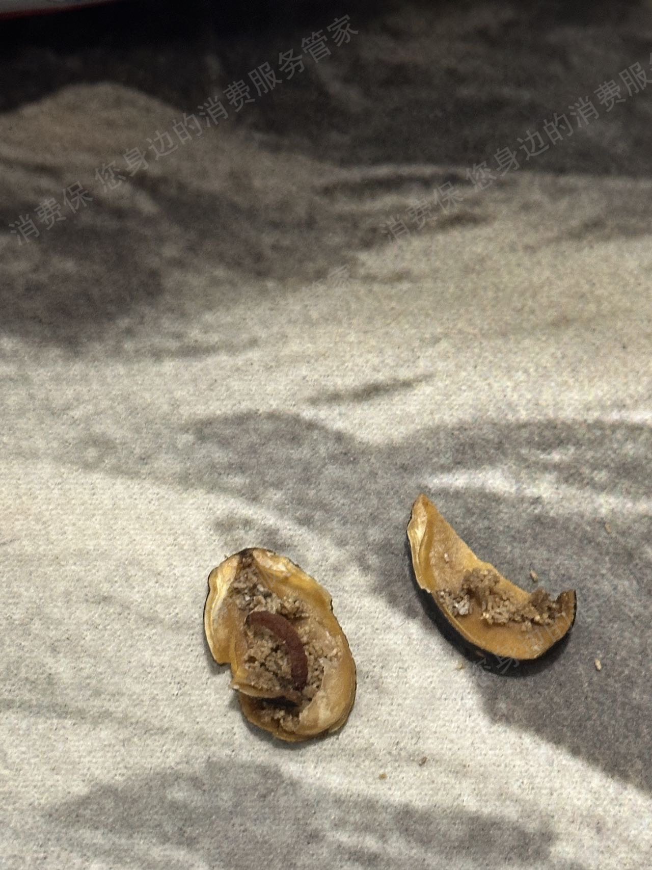 淘宝网联系不上客服