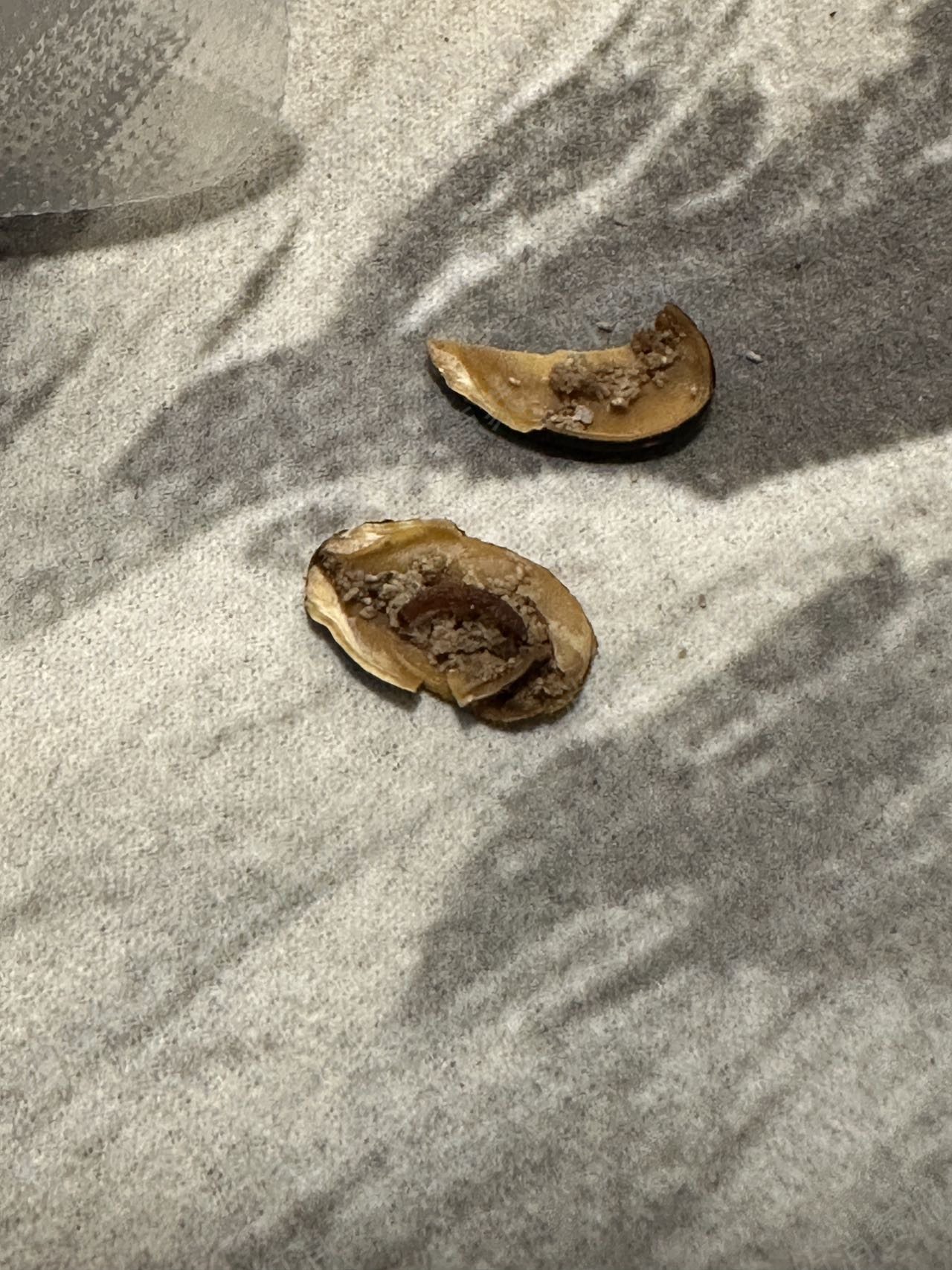 淘宝网货不对版