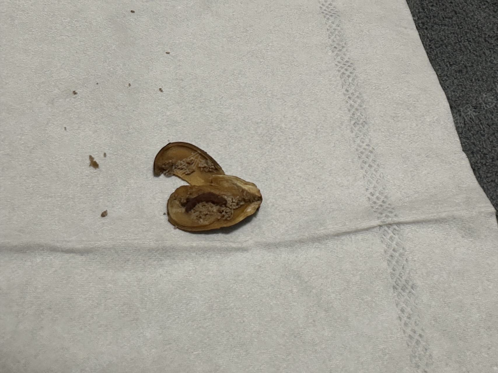 淘宝网联系不上客服