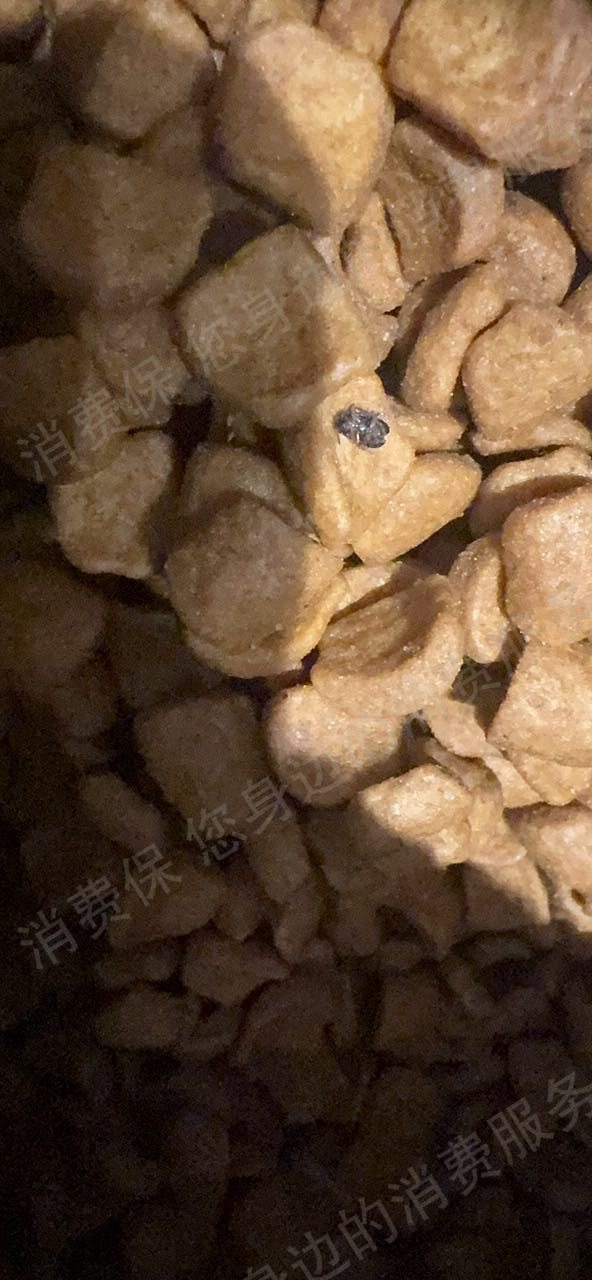 拼多多虚假宣传