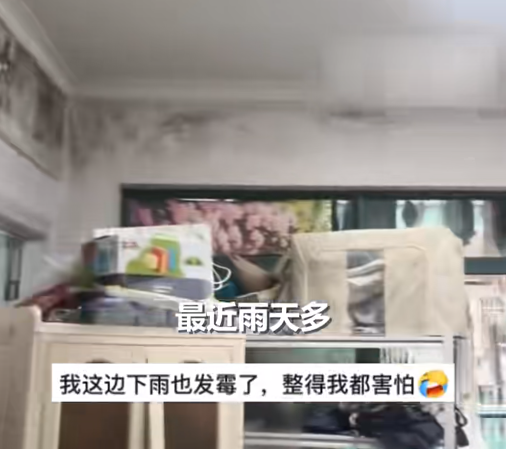 墙体发霉