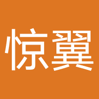 沈阳惊翼科技
