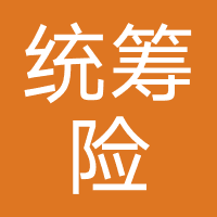 统筹险