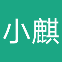 天津小麒科技