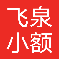 广州飞泉小额贷款