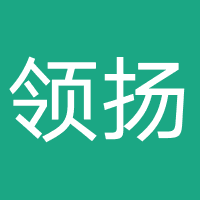 领扬网络