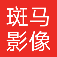 斑马影像