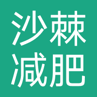 沙棘减肥