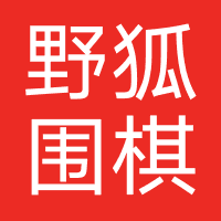 野狐围棋-野狐世纪
