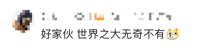 72c8d9344184bec2468e4f51886e6809.png