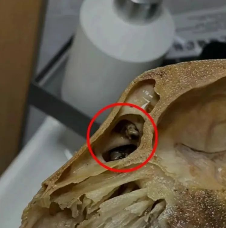 微信截图_20250820151757.png