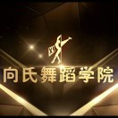 向氏舞蹈